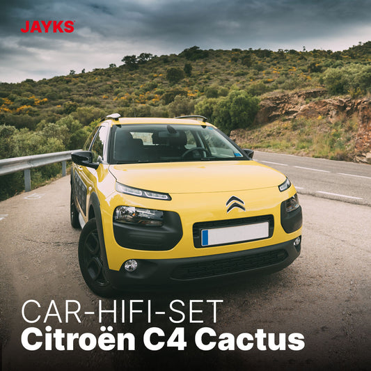 5DX plus Car-HiFi-Verstärker-Set • für Citroën C4 Cactus