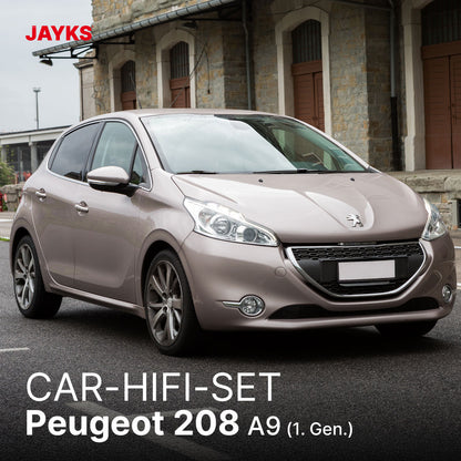 5DX plus Car-HiFi-Verstärker-Set • für Peugeot 208 A9